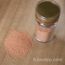 Supplemento di probiotici per la salute granulo lactobacillus casei